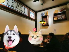 -金龙咖喱