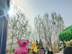 -西部长青自然儿童乐园