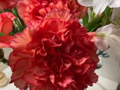 -BHG生活超市(安贞店)