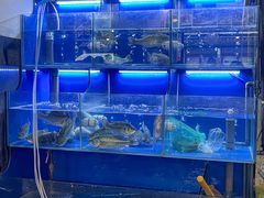 -百家鲜·杭帮菜