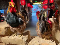-VT101维多利广场