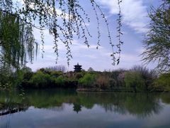 -梁鸿国家湿地公园