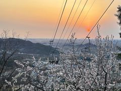 -香山公园
