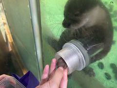 -哈尔滨极地公园