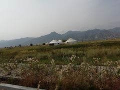 -哈素海