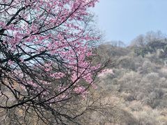-少华山国家森林公园