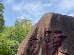 -陈家山荷花公园