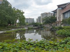 -梧桐人家中国太平国际健康颐养社区