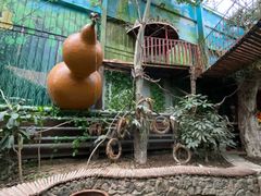 -呀路古热带植物园