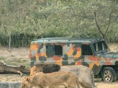 -北京野生动物园