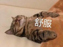 -海底捞火锅(苏宁生活广场店)