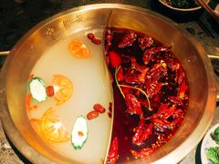 红白鸳鸯-小龙坎火锅(总店)