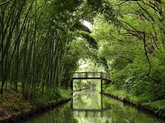 -同里国家湿地公园