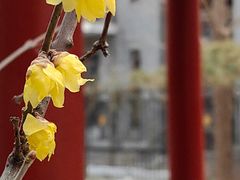 -月坛公园