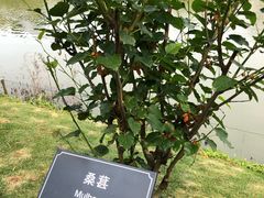 -厦门悦华酒店