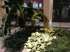 -仁恒美食庭苑(仁恒海河广场店)
