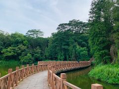 -番禺大夫山森林公园