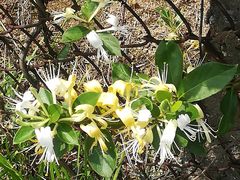 -南京市无想山景区