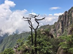 -三清山风景名胜区