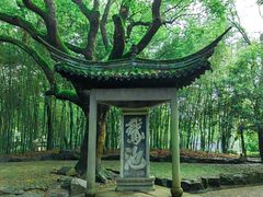 -兰亭风景区