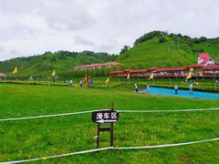 -关山草原