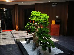 -流花苑精致潮粤菜(越秀店)