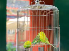 -上海老饭店(北京分店)