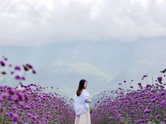 -大理洱源西湖景区
