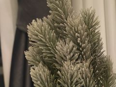 -北京建国饭店杰斯汀法餐厅