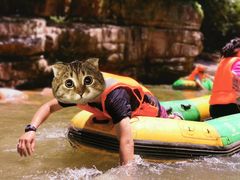 -雅鲁激流探险漂流