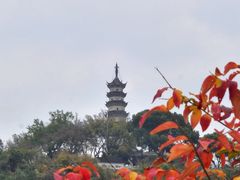 -苏州上方山国家森林公园