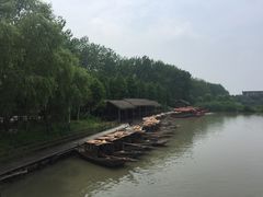 -溱湖国家湿地公园