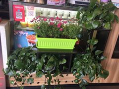 -泰薯府(呈贡第七街区店)