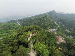 -大金鹰园