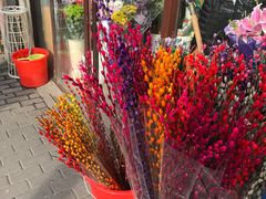 -万商花鸟市场