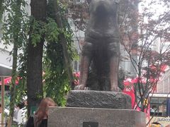 -涩谷区