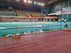 泳池-重庆市奥林匹克体育中心-游泳跳水馆