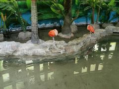 -海合安武汉极地海洋公园