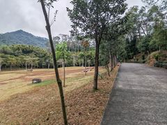 -田心森林公园