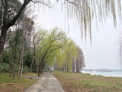 -长广溪湿地公园