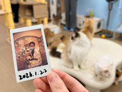 -南越王博物院(王宫展区)