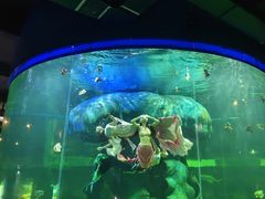 -龙谷湾旅游休闲度假区