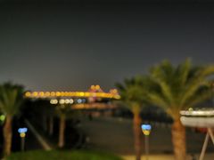-海沧湾公园