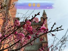 -上海佘山国家森林公园西佘山园