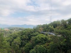 -金鸡山公园