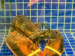 -明记海鲜大排档(巽寮湾店)