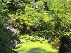 -上海醉白池公园