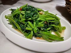 -吴莊(龙城万科里店)