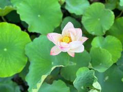 -江苏三台山国家森林公园