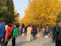 -辽宁大学(崇山校区)